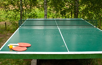 Pingpong
